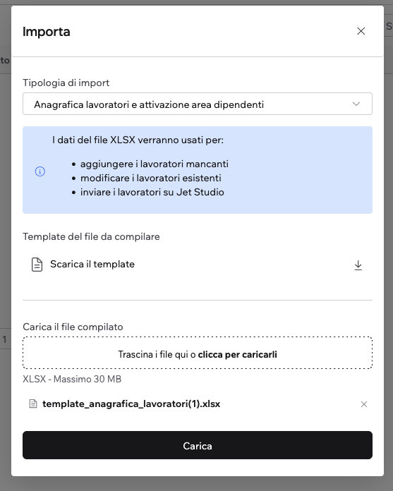 Schermata importa anagrafiche dipendenti con template allegato